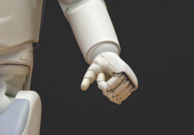 Should Robots be Persons?